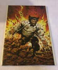 Return Of Wolverine Variant
