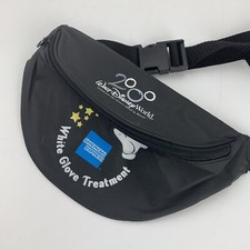 Walt Disney World 2000 Sac