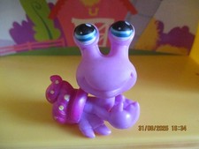 Petshop Bernard L'hermite #