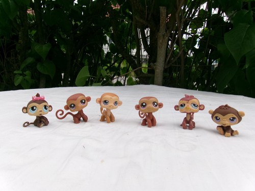 Lps littlest pet shop - shop, singe