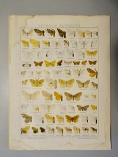 CHROMOLITHOGRAPHIE ORIGINALE