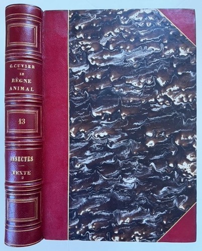Georges cuvier le regne - georges,