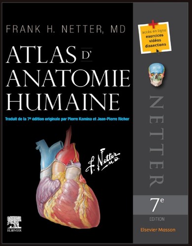 Atlas anatomie humaine - d'anatomie,