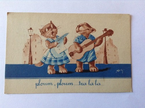 Carte postale chats - ~,