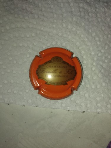 Capsule champagne boisselle - capsule,