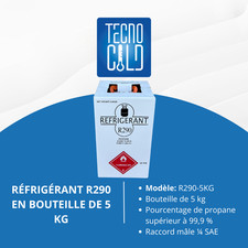 R290 GAZ RÉFRIGÉRANT PROPANE EN BOUTEILLE DE 5 KG AVEC ROBINET POUR CLIMATISEURS