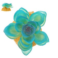  Décoration Pour Terrarium De