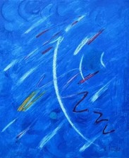 André VERDET :  Le bleu du
