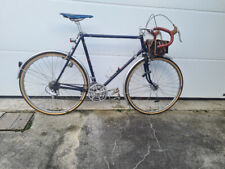 Randonneuse Alex Singer