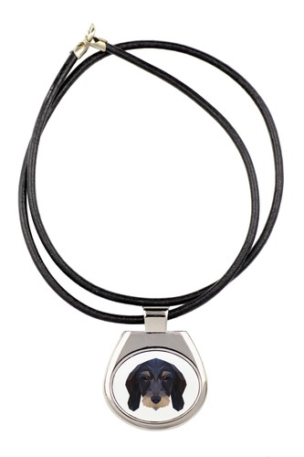 Collier teckel poil - à, dur