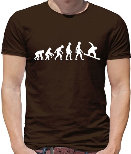 évolution homme - Évolution, l'homme