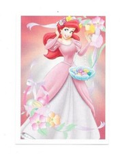 Vignette Disney - Princesse