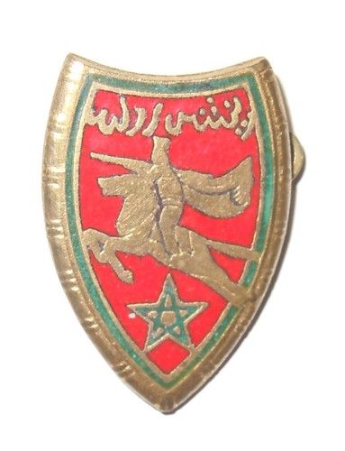 Insigne fourragere rgt - 2°,