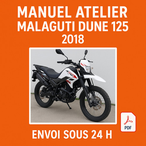 Manuel atelier malaguti dune - manuel,