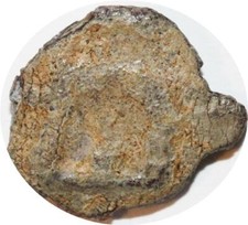 DC0679 Faux D'époque Gauloise