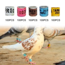 Lot de 100 anneaux de pattes