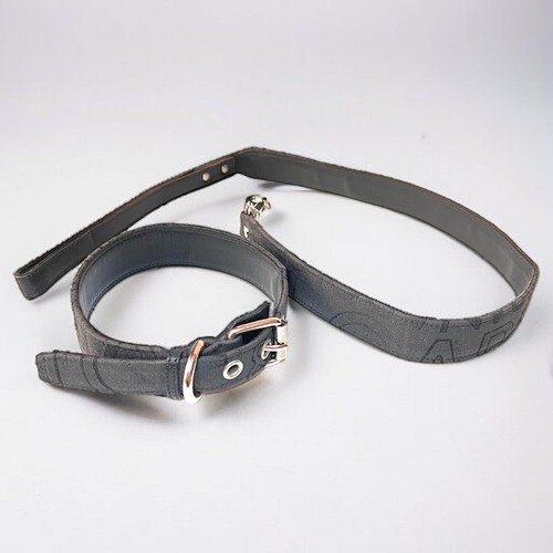 Ensemble collier pour - , chien