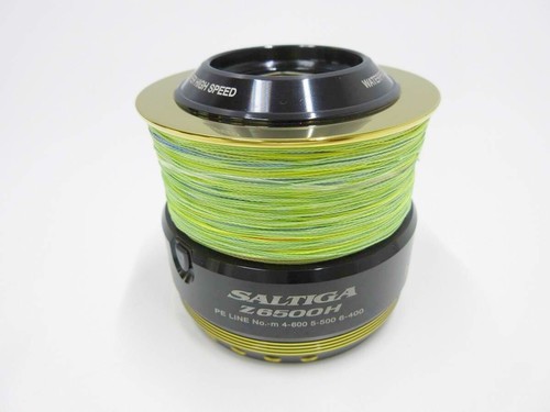 Daiwa saltiga 6500h - 6500h, dogfight