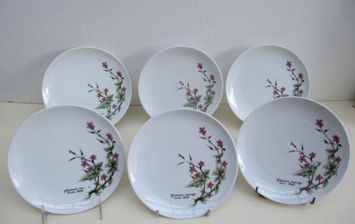 Assiettes dessert - assiettes,