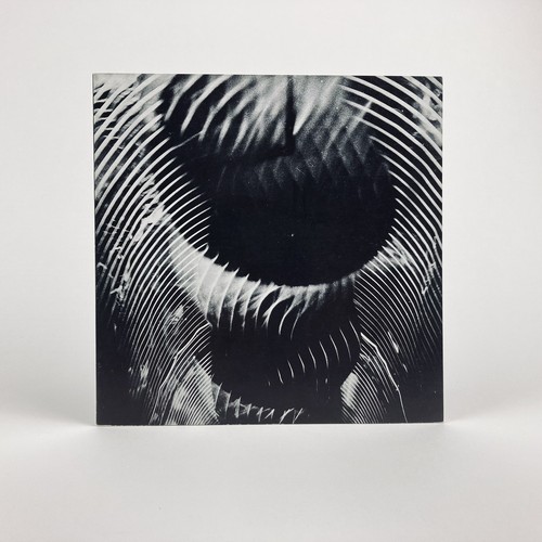 Martha boto galerie denise - galerie,