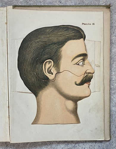 Etienne rabaud anatomie - etienne,