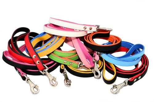 Véritable laisse cuir - laisse,