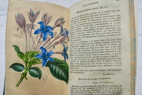 Jardin revue horticole avril - horticole,