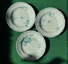 Faïence Pexonne XIX ème - 3 Assiettes à Dessert Floride Oiseaux et insectes