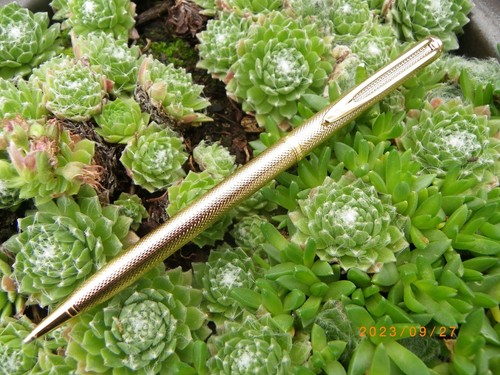 Stylo bille waterman gentleman - stylo,