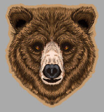 TETE D'OURS BRIN NATURE FORET