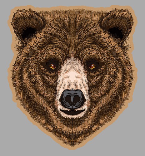 Tete ours brin nature - tete,