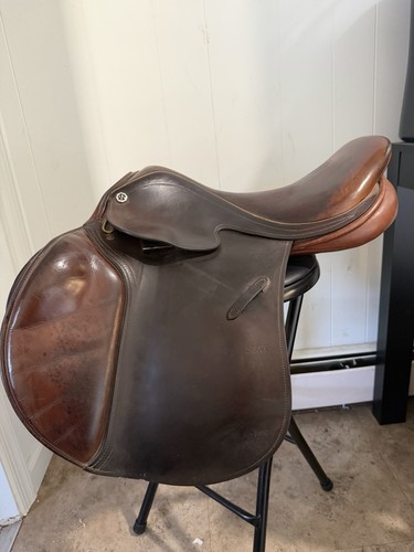 Barnsby milton jumping - 17.5”,