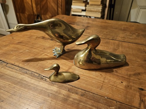 Lot canards laiton - canards,