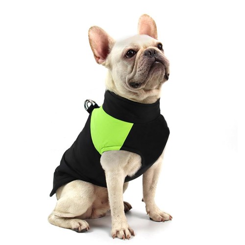 Manteau pour chien hiver - chien, d'hiver