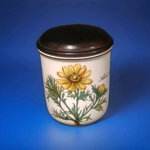 Pot villeroy boch botanica - villeroy, et