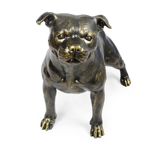 Staffordshire bull terrier - staffordshire,