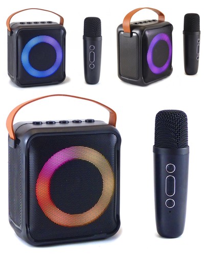 Enceinte sono portable - enceinte,
