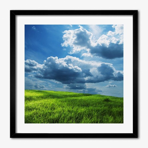 Tulup photo salon 50x50cm - photo,