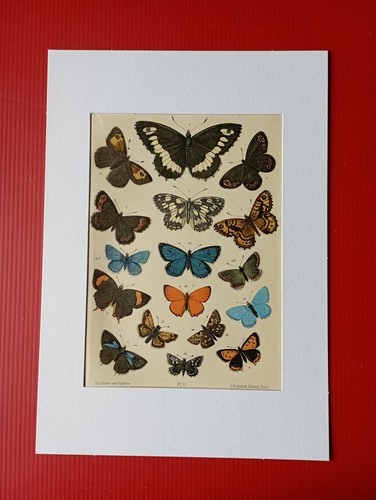 Chromolithographie originale - chromolithographie,