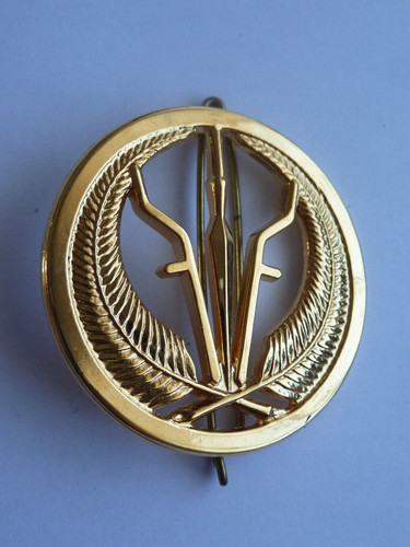 Original insigne militaire - original,
