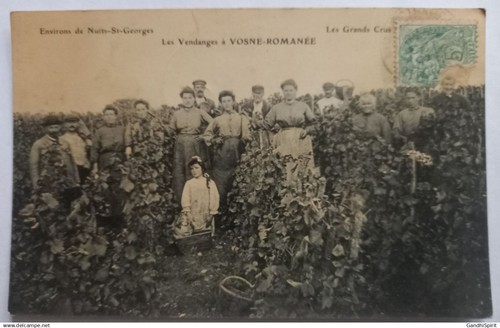 Les vendanges vosne - vendanges,