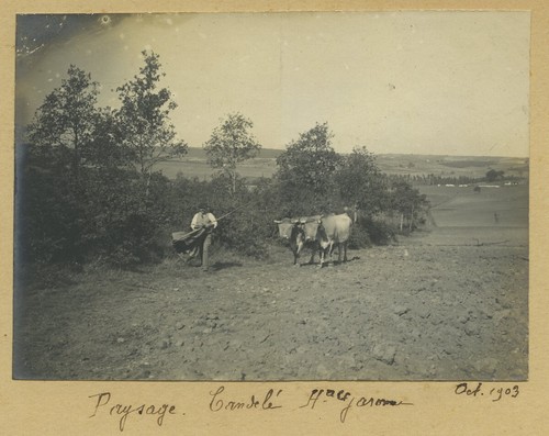 Haute garonne candelé - haute-garonne., le