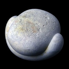 ★☆ GOGOTTE MAROC de