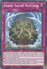 Yu-Gi-Oh! Arbre Sacrée
