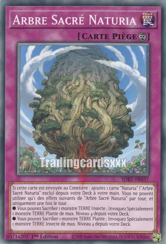 Arbre sacrée - yu-gi-oh!,