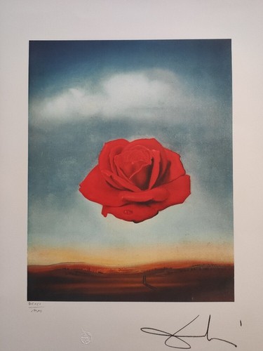 Signé salvador dali rose - salvador,