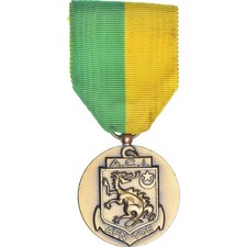 France, Anciens Combattants d'Indochine, Afrique du Nord, WAR, Médaille, 1955