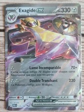 Carte Pokémon Exagide EX G