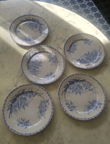 Grandes assiettes plates - 5,