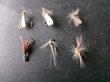 6 véritables mouches de